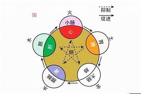 可 五行|可字的五行属性